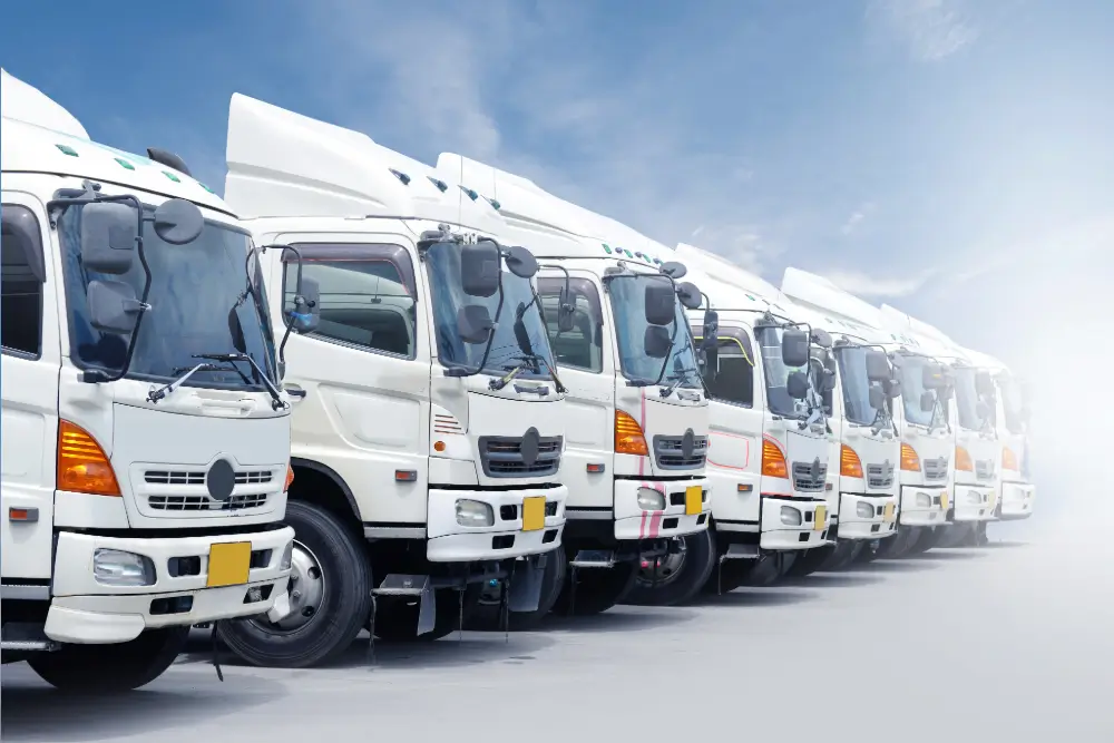A row of white delivery trucks parked side by side under a bright sky